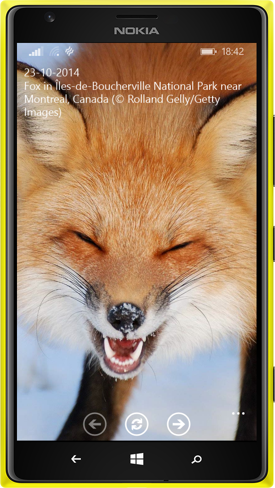 A phone showing the Image of the Day app with a picture of a fox in the snow